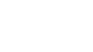 anicca logo horizontal white